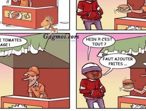 UN GAOU A PARIS : N°2