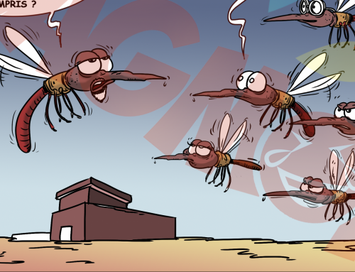 Consommons local; tout le monde est concerné